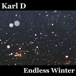 256-endless-winter_10554548588793432052.jpg